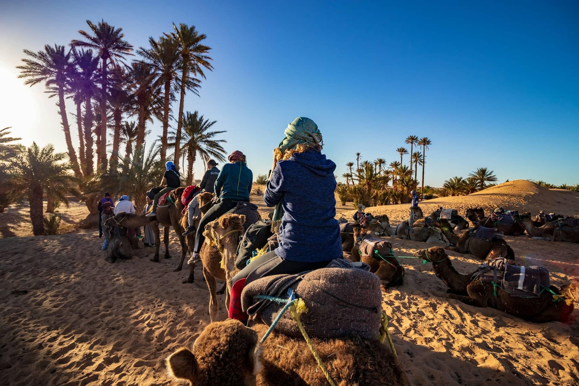 Adventurers embark on a camel trek through the Sahara Desert, surrounded by a landscape of towering palm trees and expansive sand dunes.