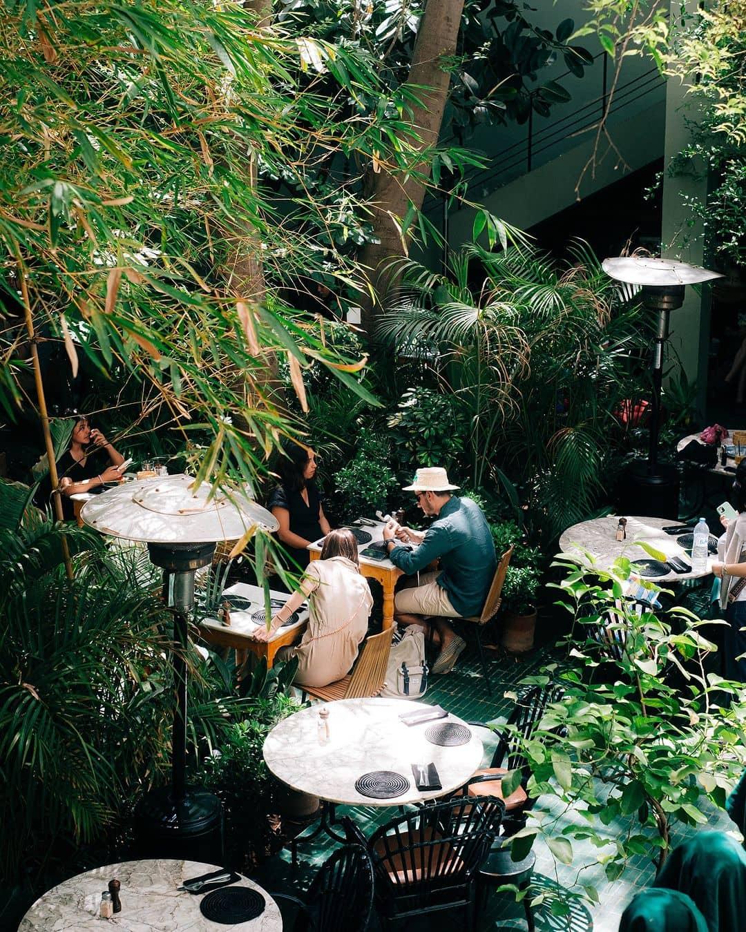 A lush and vibrant outdoor dining area at Le Jardin in Marrakesh, where patrons enjoy their meals surrounded by greenery and a serene atmosphere.