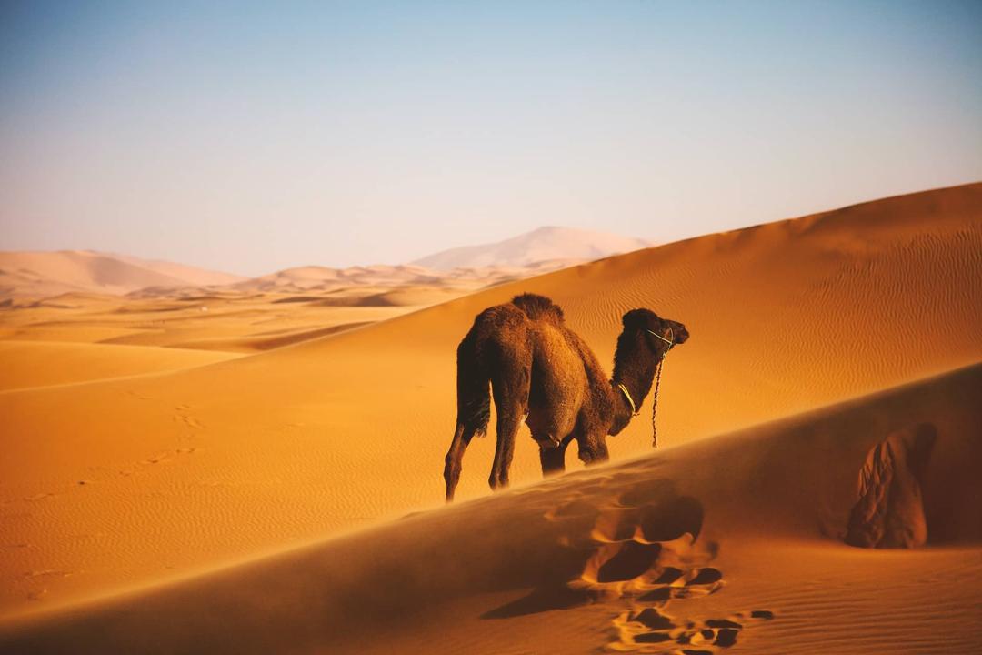 Sahara Desert Morocco